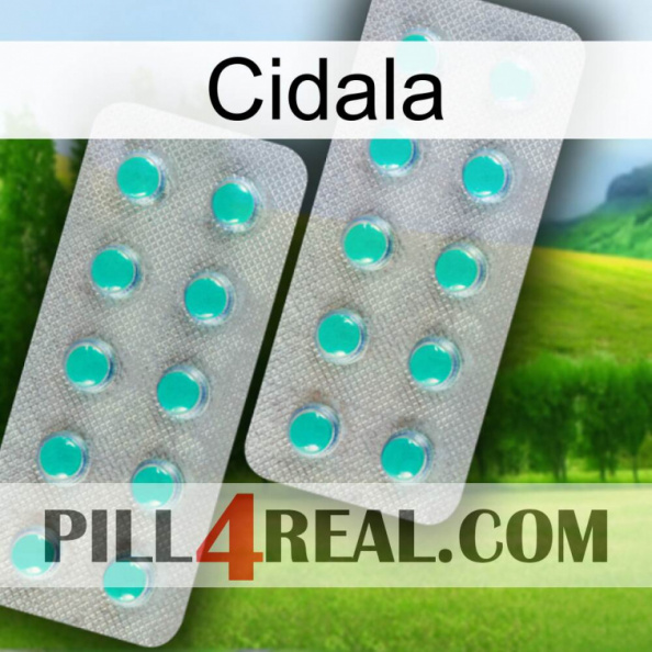 Cidala 29.jpg